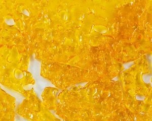 GIRL SCOUT COOKIES SHATTER